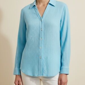 Soft Surroundings Blue Tunic Top